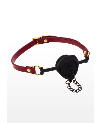 Kinky Gag with Plug Red