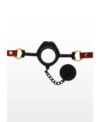 Kinky Gag with Plug Red