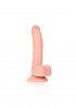 Curved Realistic Dildo  Balls  Suction Cup - 7""""/ 18 cm