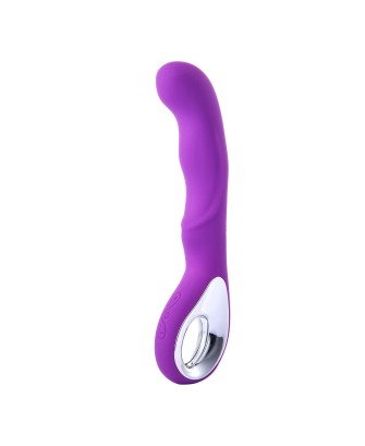 Vibrator G-spot 10 functions USB Purple