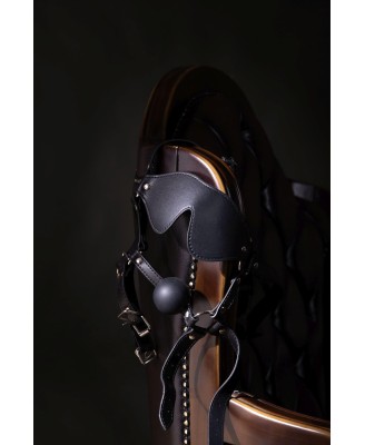 Blindfolded Head Harness with Solid Ball Gag - Black
