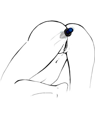 Lust Tunnel Plug M