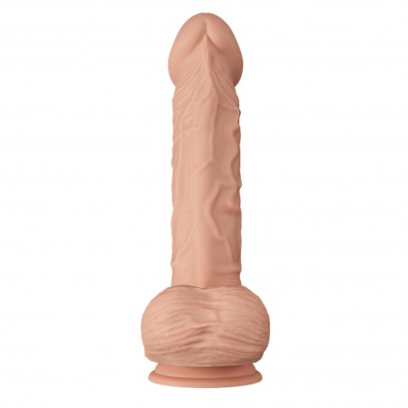 BAILE-Beautiful Bergrisi 10.2""""