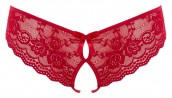 Lace Briefs Crotchless XL