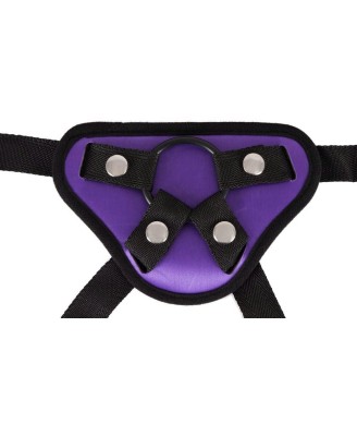 Universal Harness + 3 Rings