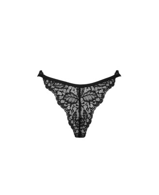 Bellastia stringi  M/L