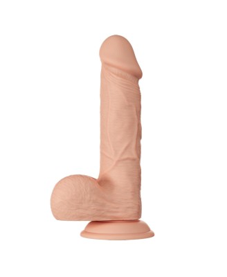 BAILE-Beautiful Bahamut 8.5""""