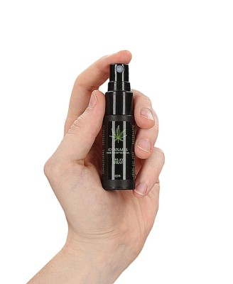 Cannabis With Hemp Seed Oil - Delay Spray - 15 ml