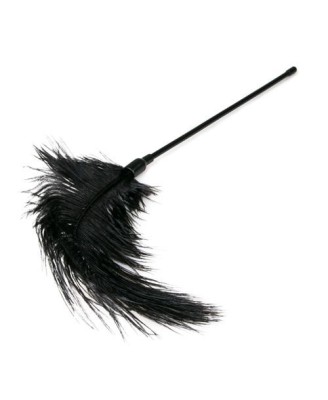 Pejcz-Black Feather Tickler