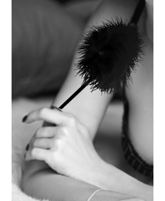 Feather Tickler