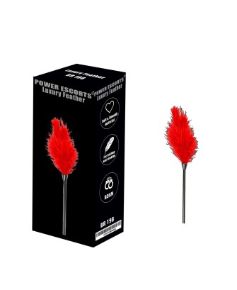 Luxury feather red
