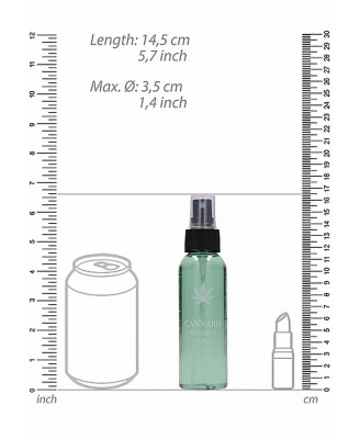 Cannabis Massage Oil - 100ml