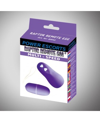Raptor remote egg purple remote egg
