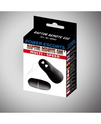 Raptor remote egg black remote egg