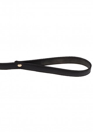 Statement Collar and leash Rose Gold