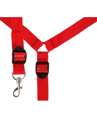 Bad Kitty Bed Restraint Set