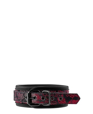 BLAZE DELUXE COLLAR & LEASH