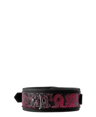 BLAZE DELUXE COLLAR & LEASH