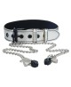 Metallic Silver Collar With Nipple Clamp