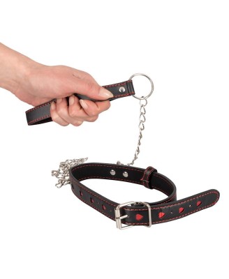 Collar and Leash