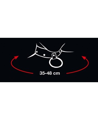 Collar and Leash