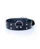 Fetish B - Series Collar with studs 4 cm