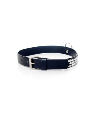 Fetish B - Series Collar with crystals 2 cm silver
