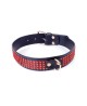 Fetish B - Series Collar with crystals 3 cm Red Line