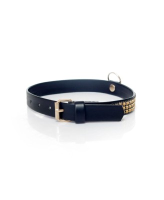 Fetish B - Series Collar with crystals 2 cm gold
