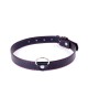 Fetish B -  Series Collar  2cm Red Line