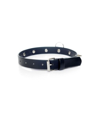 Fetish B - Series Collar with studs 2 cm