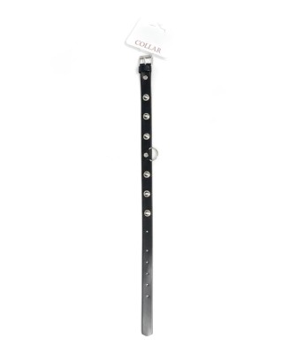 Fetish B - Series Collar with studs 2 cm