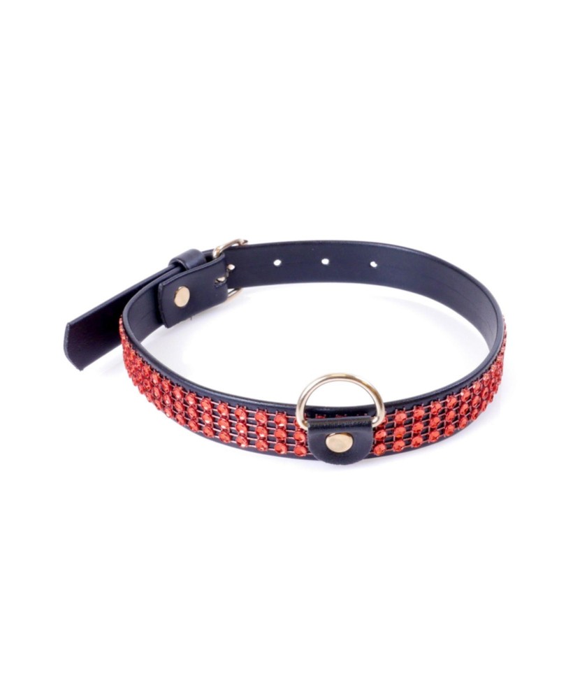 Fetish B - Series Collar with crystals 2 cm Red Line