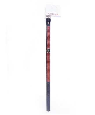 Fetish B - Series Collar with crystals 2 cm Red Line