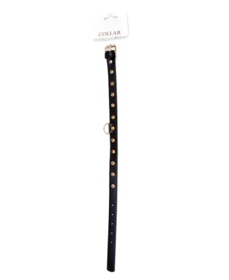 Fetish B - Series - Collar 2 cm gold crystal