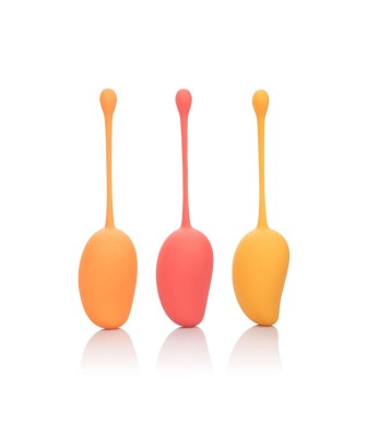Kegel Training Set Mango Assortment