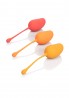Kegel Training Set Mango Assortment