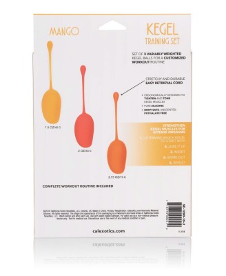 Kegel Training Set Mango Assortment