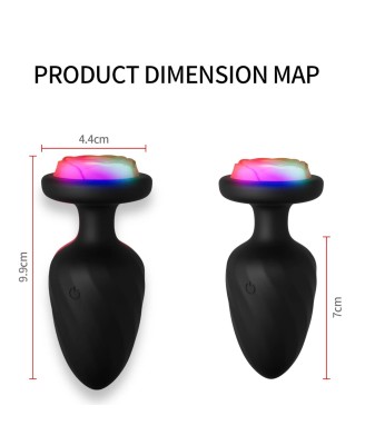 Power Escorts - Party Plug - Remote Plug Black, USB Rechargeable - 10 Functions
