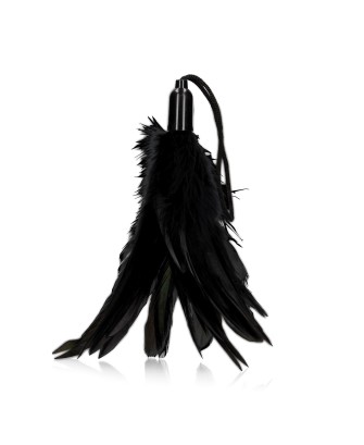 Small Feather Tickler