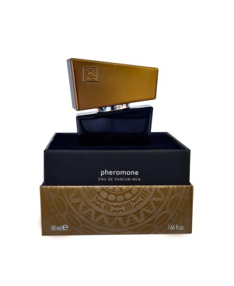 SHIATSU Pheromon Fragrance man grey 50 ml