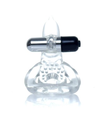 Pierścień-Dolphin Vibro CockRing Clear