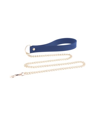 Silicone Collar and Leash Blue