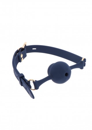 Silicone Mouth Gag Blue