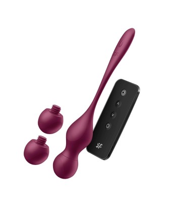 Love Birds Vary Connect App