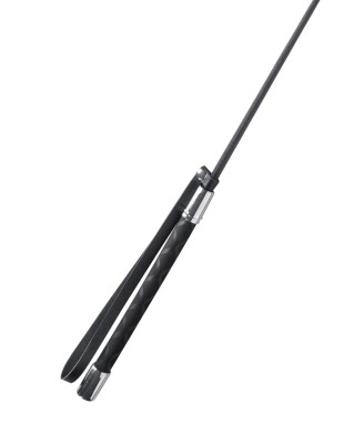 BLACK WHIP