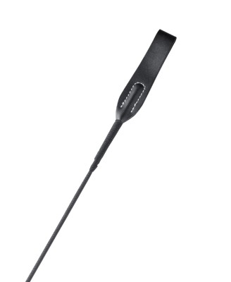 BLACK WHIP
