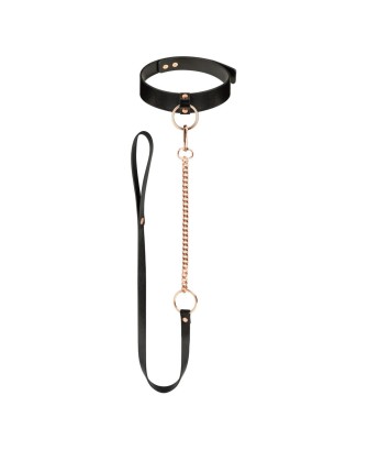 Rosy Gold - Collar with Leash - Black