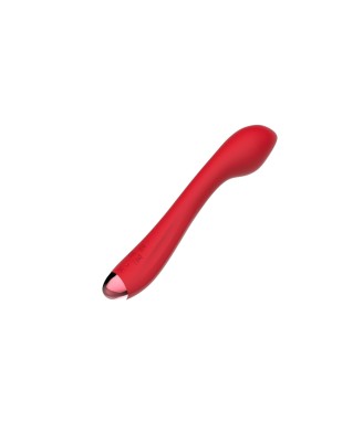 Wibrator - Rechargeable G Spot USB 10 Functions