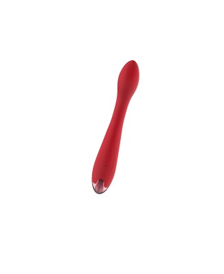 Wibrator - Rechargeable G Spot USB 10 Functions